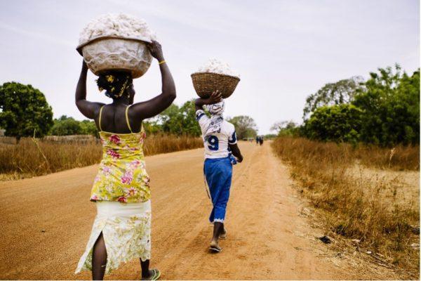 Zwei Afrikanerinnen laufen eine Sandstraße entlang. Auf ihren Köpfen tragen sie Körbe mit Baumwolle.