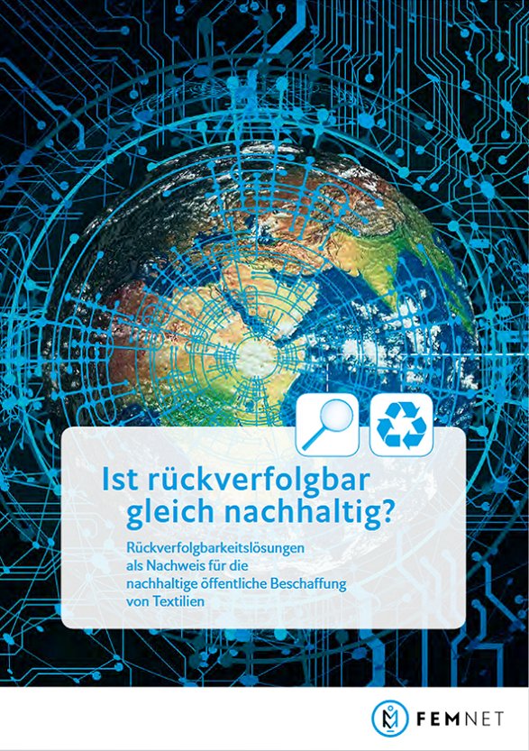 Grafik mit der Erde, Blick aus dem Weltraum